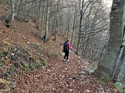 89 Scendiamo sul sent. 136 attraversando belle faggete